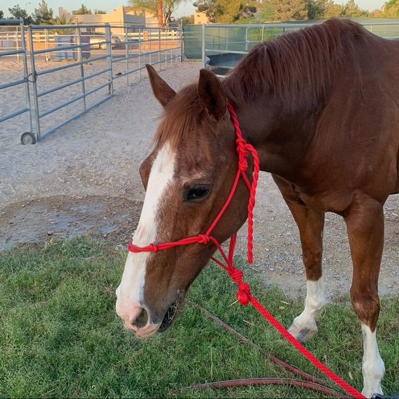 Profile Picture of Kendall Skipworth (@kendallskipp) on Poshmark