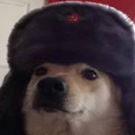 Profile Picture of Isaiah Paul Winsor (@isaiahpaulw) on Instagram