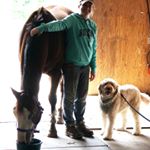 Profile Picture of Beth Bassinger (@beth.and.pets) on Instagram
