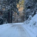 Profile Picture of Reena Kapadia (@reena.kapadia) on Instagram