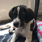 Profile Picture of Sasha_dancer (@sasha_ballet_819) on Instagram