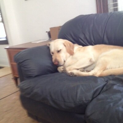 Profile Picture of Nicholas Cochran (@24Hocke) on Twitter