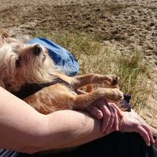 Tony Bridge - Twitter Profile Picture of Tony Bridge (@GordonbridgeTb) on Twitter