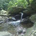 Profile Picture of henry padron (@padron6944) on Instagram