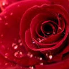 Profile Picture of MOUMITA CHATTERJEE (@Moumita8017) on Twitter