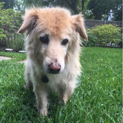 Profile Picture of Anne Loo (@loonyberg) on Twitter