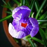 Profile Picture of Graufelds (@graufelds) on Instagram