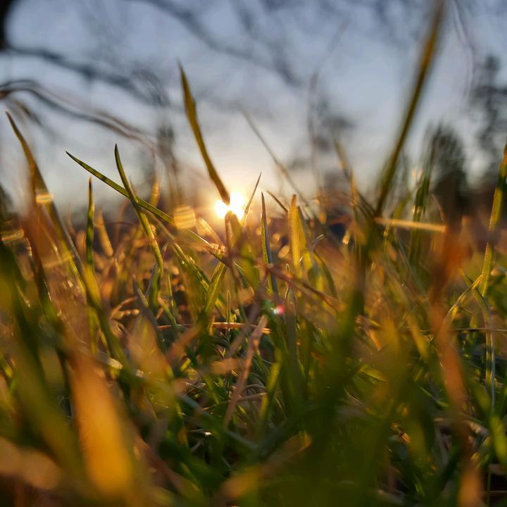 Profile Picture of David Gollner (@@snorre023) on Tiktok