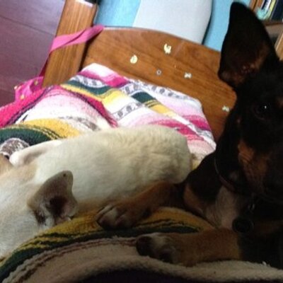 Profile Picture of Kim Keith (@Kimkeith1Kim) on Twitter