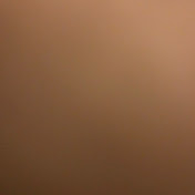 Profile Picture of Tammy Rapp (@TheShooterT) on Youtube