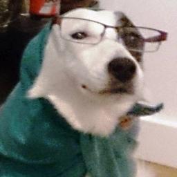 Profile Picture of Adam Capell (@Mrs_Darla) on Twitter