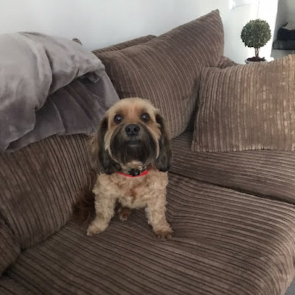 Profile Picture of The Goertzens (@thegoertzens) on Poshmark