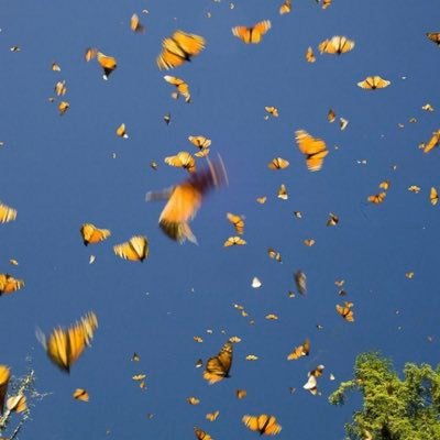 Profile Picture of Luke Boland (@lukeboland18) on Twitter