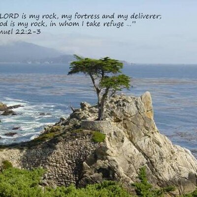 Profile Picture of Donna McFarland (@DonnaMcFarland2) on Twitter