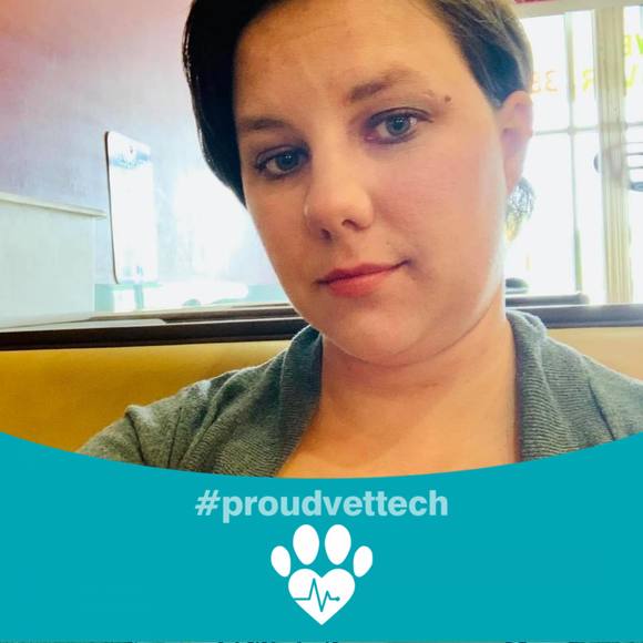 Profile Picture of Katherine Marchewka (@snorks41) on Poshmark