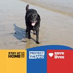 Profile Picture of Janet Ellison (@janetellison60) on Instagram