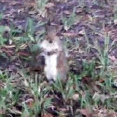 Profile Picture of Michael Tinkham (@mailguymike) on Twitter