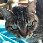 Profile Picture of Robin Travis (@robintravis4087) on Instagram