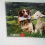 Profile Picture of Cormac Coyle Cooke (@Cormac-Coyle-Cooke) on Facebook