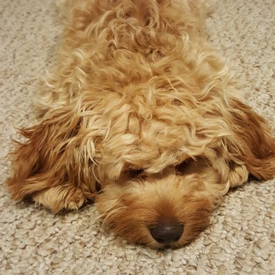 Profile Picture of W Jason Hearne (@_cajuaL) on Twitter