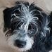 Profile Picture of Eva Fuchs (@eva.fuchs.9484) on Facebook