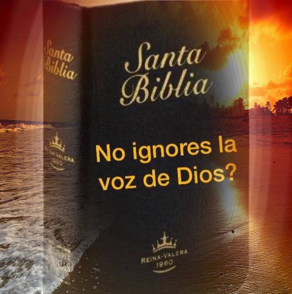 Profile Picture of Florecita Ahidalgo (@florecitalj) on Poshmark