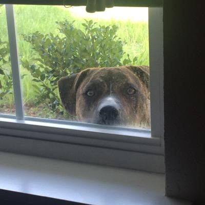 Profile Picture of James Barfield (@jbarfield2) on Twitter