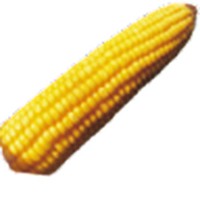 Profile Picture of Nolan Hoff (@nolan-hoff-6) on Quora
