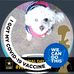 Profile Picture of Ladonna Boyd (@ladonna.boyd.372) on Facebook