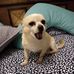 Profile Picture of Cheryl Michael (@cheryl.michael.50552) on Facebook