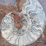 Profile Picture of Lorelei Rae Craig (@ciera_reflections) on Instagram