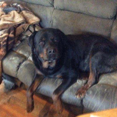 Profile Picture of Nancy Knowles (@NancyKn94566263) on Twitter