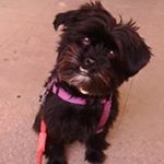 Profile Picture of Gemma Cuevas (@cuevasgemma) on Instagram