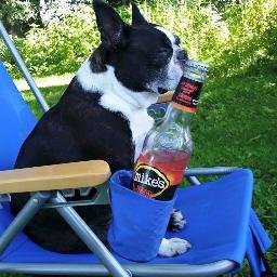 Profile Picture of Sam Mahler (@mahler_sam) on Twitter