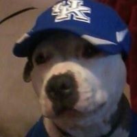 Profile Picture of Mark Mas (@mark-mas-1) on Quora