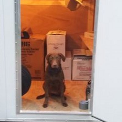 Profile Picture of Simon Terry (@semen28terry) on Twitter