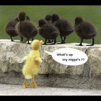 Profile Picture of Scott Trigg (@ScottTrigg3) on Twitter