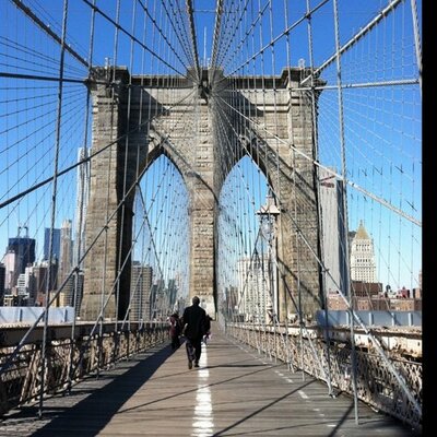 Profile Picture of Dan Gotkin (@DanGotkin) on Twitter