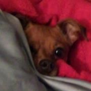 June Koch - Pinterest Profile Picture of June Koch (@jmk2466) on Pinterest