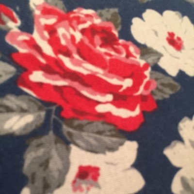 Profile Picture of Natasha Wilkins (@natashaw1982) on Twitter