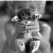 Profile Picture of Trish Welch (@twelch7980) on Pinterest