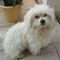 Profile Picture of Doris Pfendt (@doris.pfendt) on Facebook