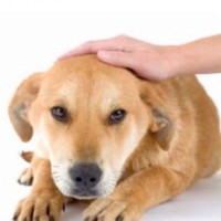 Profile Picture of Lily Cho (@lily-cho-19) on Quora