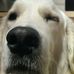 Profile Picture of Ralph Foreman (@ralph.foreman.50) on Facebook