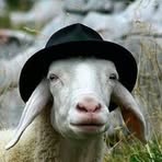 Profile Picture of Suzanne Tompkins (@Suzanne.Sherman.Tompkins) on Facebook