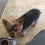 Carol Monness - Instagram Profile Picture of Carol Monness (@carolmonness) on Instagram