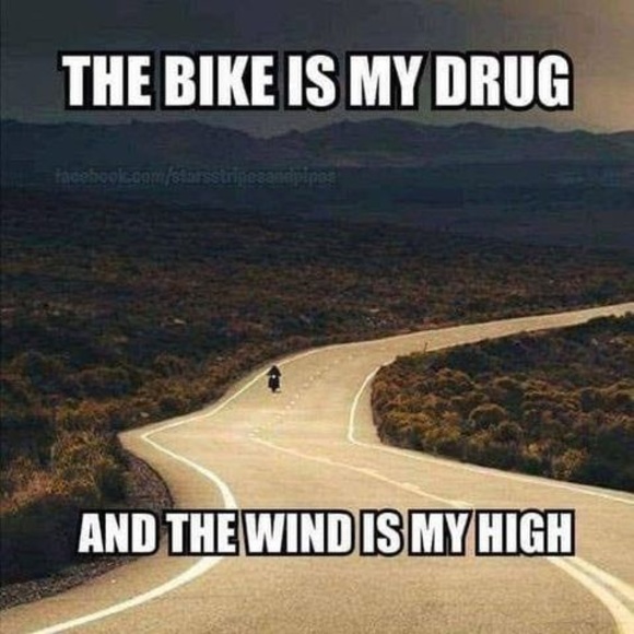 Profile Picture of Nelson Richards (@n_richards6) on Poshmark