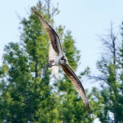 Profile Picture of Michael Bye (@swyft2) on Twitter