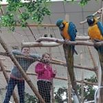 Profile Picture of Patrick Hasse (@patrick.hasse.14) on Instagram