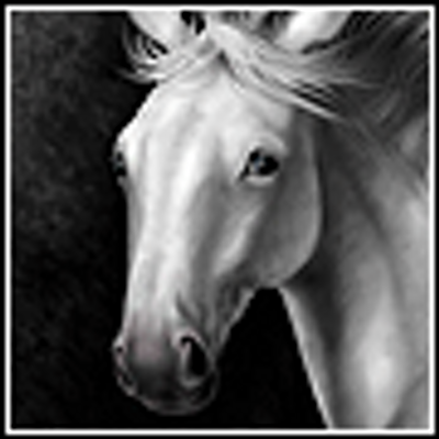 Profile Picture of Violet Witt (@oketrim119) on Twitter